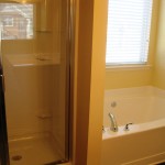 master bath and shower